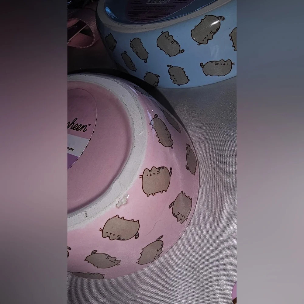 Pusheen The Cat Lover’s Gift Set